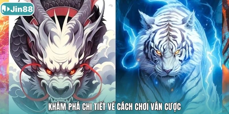 Khám phá chi tiết về cách chơi ván cược